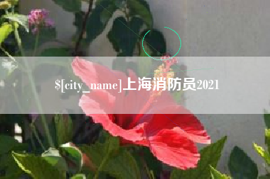香河上海消防员2021
