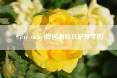 香河我国消防日是每年的