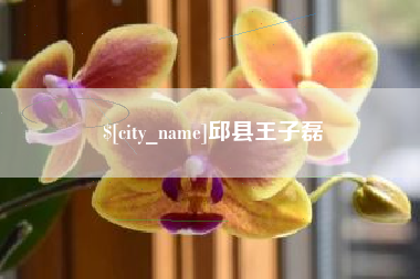 香河邱县王子磊