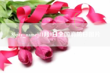 香河11月9日全国消防日图片