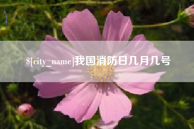 香河我国消防日几月几号