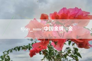 香河中国金牌18金