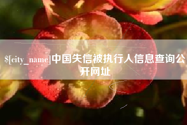 香河中国失信被执行人信息查询公开网址
