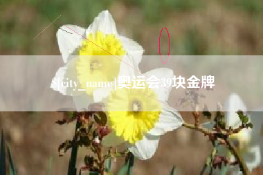 香河奥运会39块金牌