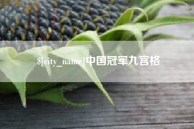 香河中国冠军九宫格