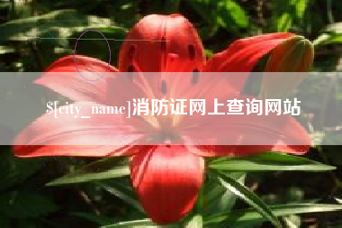 香河消防证网上查询网站