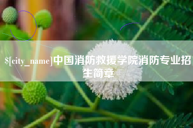 香河中国消防救援学院消防专业招生简章