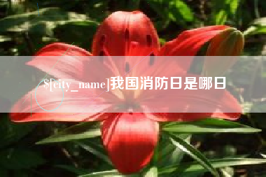 香河我国消防日是哪日