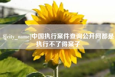 香河中国执行案件查询公开网都是执行不了得案子