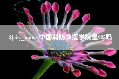 香河中国消防救援学院是985吗