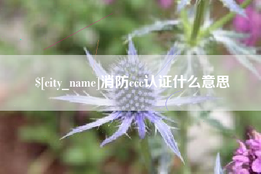 香河消防ccc认证什么意思
