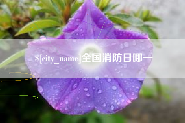 香河全国消防日哪一