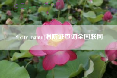 香河消防证查询全国联网