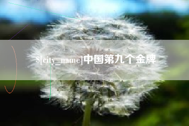 香河中国第九个金牌