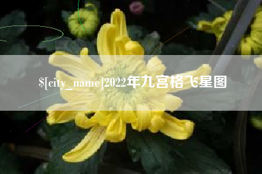 香河2022年九宫格飞星图