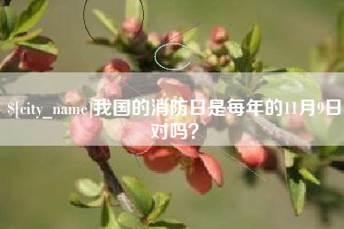 香河我国的消防日是每年的11月9日对吗？