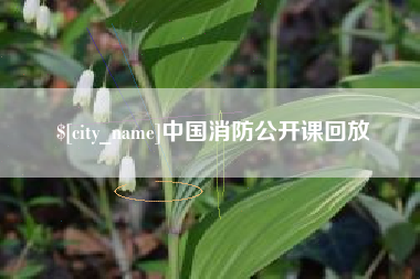 香河中国消防公开课回放
