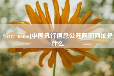 香河中国执行信息公开网的网址是什么