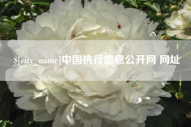 香河中国执行信息公开网 网址