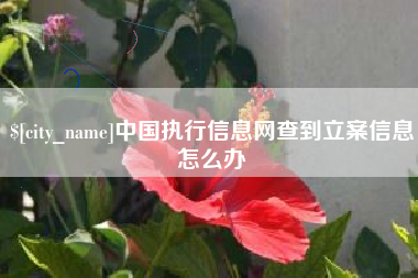 香河中国执行信息网查到立案信息怎么办
