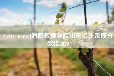香河消防救援学院山东招生录取分数线2020