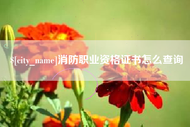 香河消防职业资格证书怎么查询