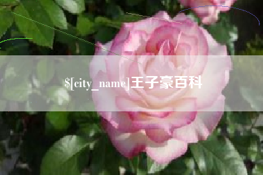 香河王子豪百科