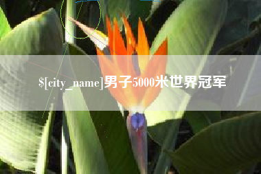 香河男子5000米世界冠军