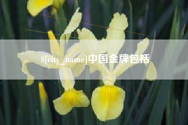 香河中国金牌包括