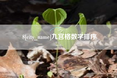 香河九宫格数字排序