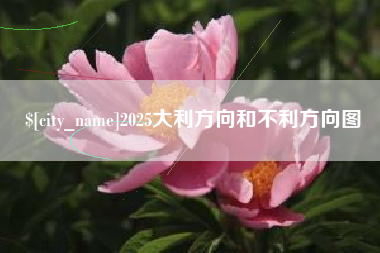 香河2025大利方向和不利方向图