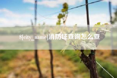 香河消防证查询怎么查