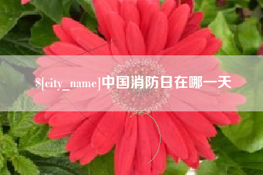 香河中国消防日在哪一天