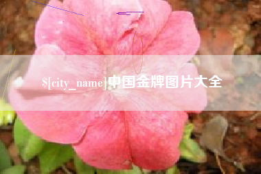 香河中国金牌图片大全