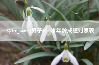 香河男子5000米年龄成绩对照表