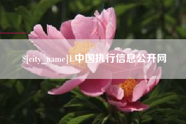 香河1.中国执行信息公开网