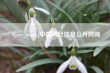 香河中国执行信息公开网询