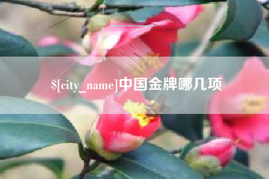 香河中国金牌哪几项