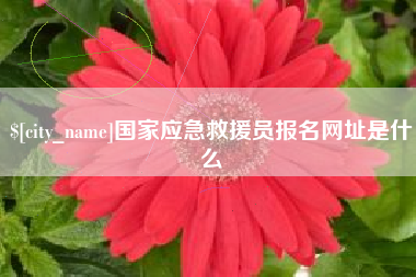 香河国家应急救援员报名网址是什么