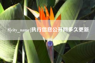 香河执行信息公开网多久更新