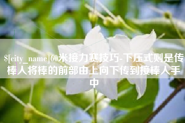 香河60米接力赛技巧-下压式则是传棒人将棒的前部由上向下传到接棒人手中