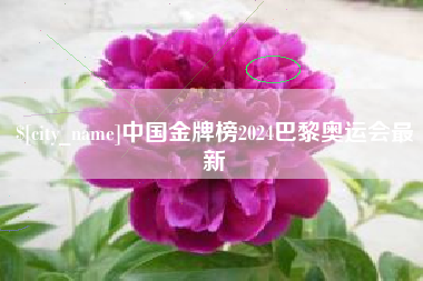 香河中国金牌榜2024巴黎奥运会最新