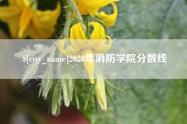 香河2020年消防学院分数线