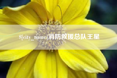 香河消防救援总队王星