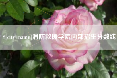 香河消防救援学院内部招生分数线