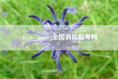 香河全国消防招考网