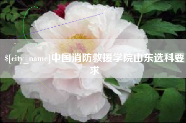香河中国消防救援学院山东选科要求