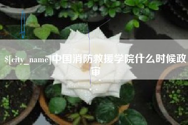 香河中国消防救援学院什么时候政审