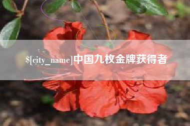 香河中国九枚金牌获得者