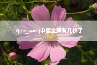 香河中国金牌有几枚了